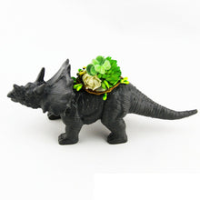Carregar imagem no visualizador da galeria, Vasos De Dinossauro