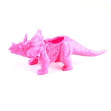 Carregar imagem no visualizador da galeria, Vasos De Dinossauro