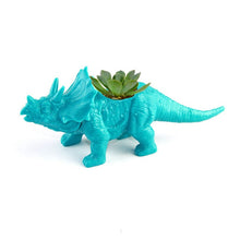 Carregar imagem no visualizador da galeria, Vasos De Dinossauro