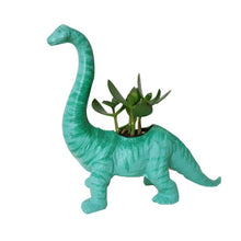 Carregar imagem no visualizador da galeria, Vasos De Dinossauro